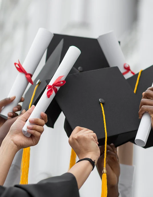 Scholarship