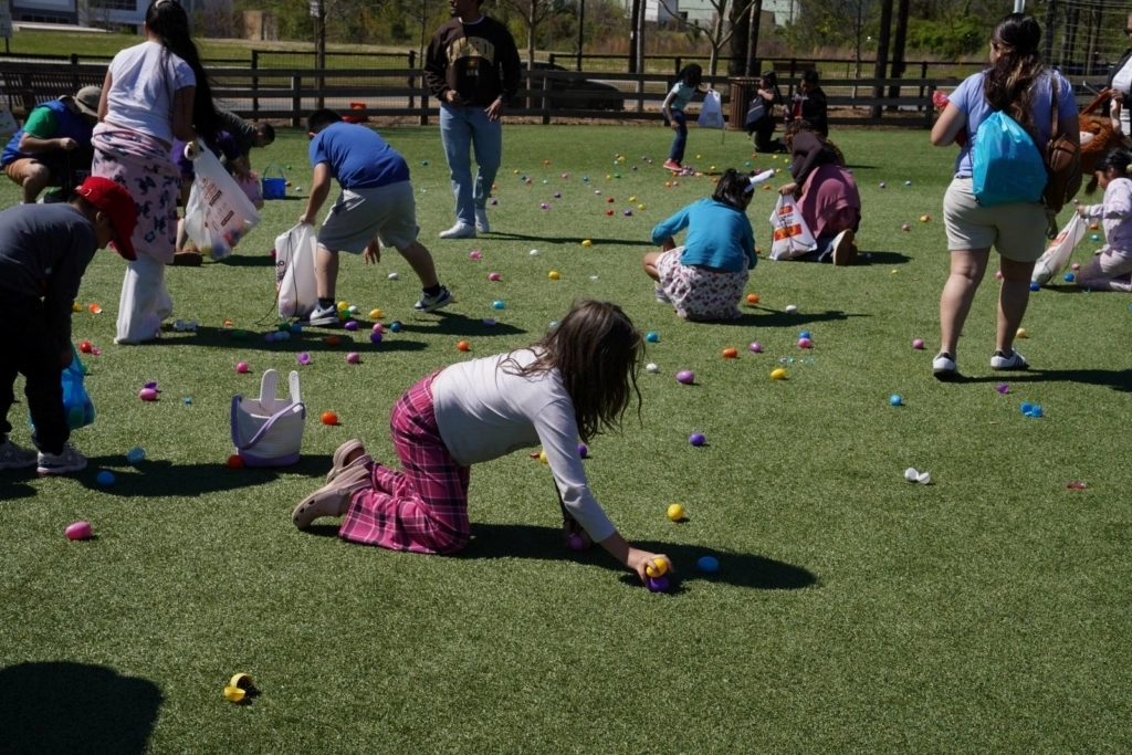 Easter-Egg-Hunt-4