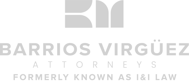 BVA gray logo