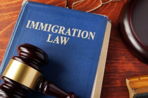immigration lawbook with gavel